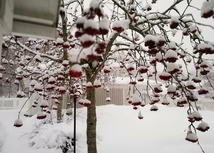 Talvitaival Appartement Varkaus