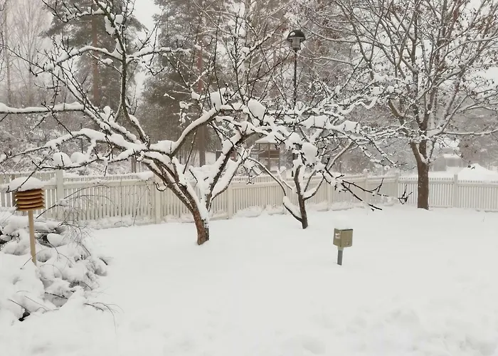 Talvitaival * Varkaus